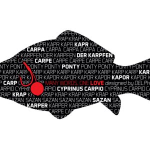 Öntapadó PONTY Words sorozat