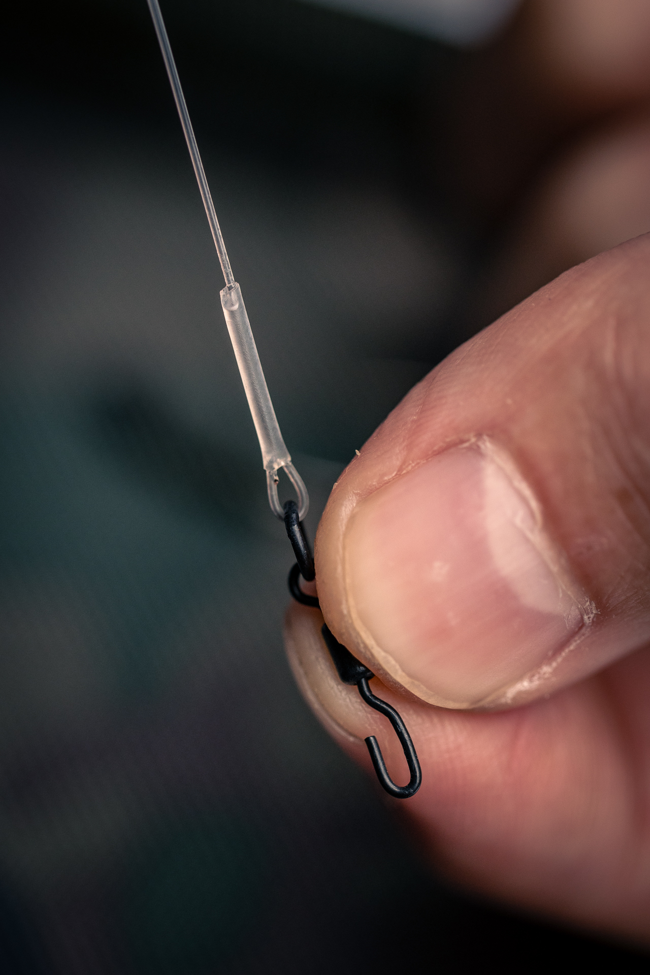 668796318d09f8.07932564