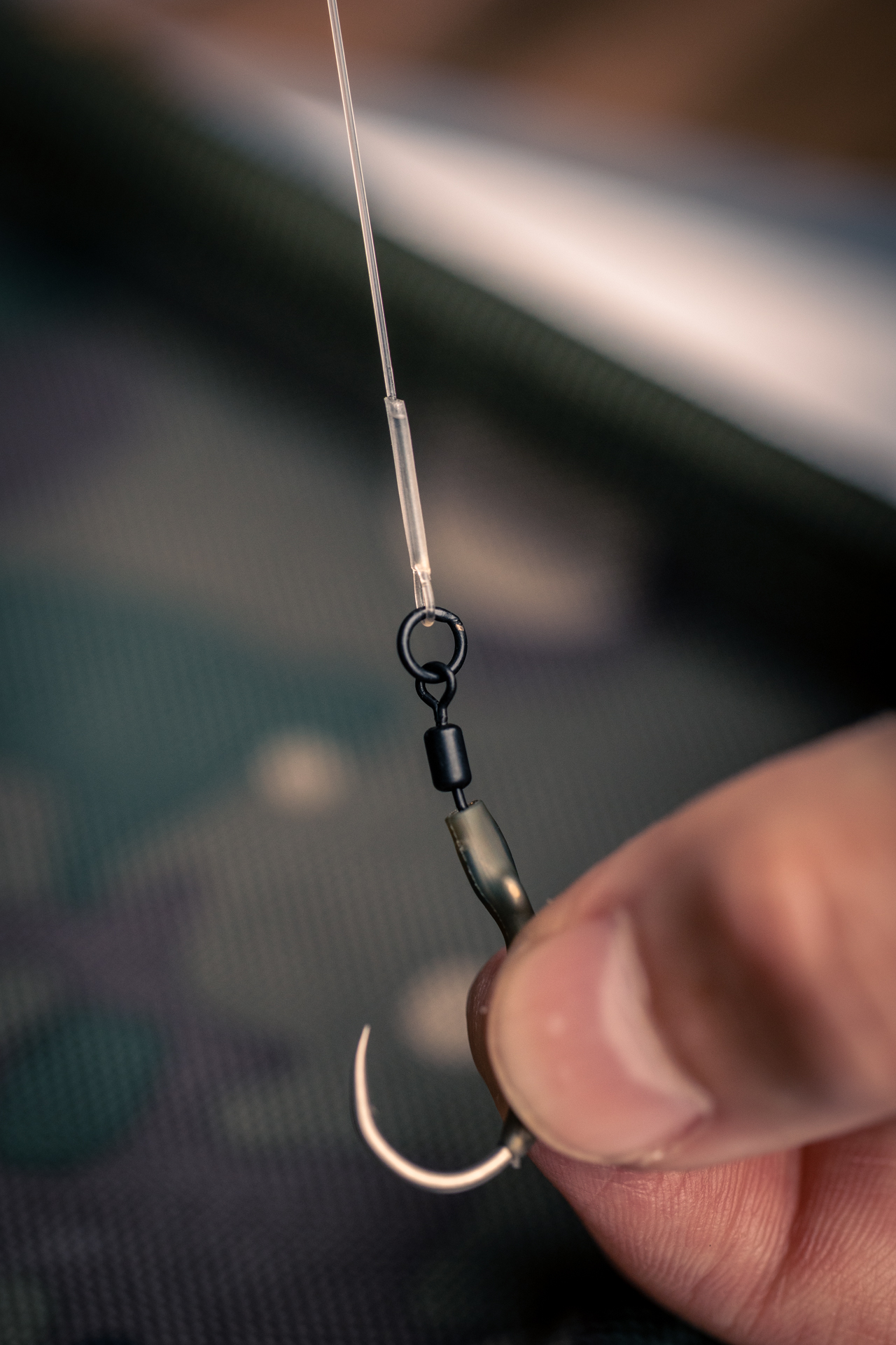 668796336e5d92.79346123